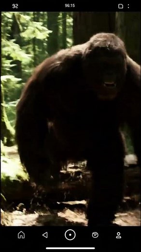 REAL Bigfoot Sighting!