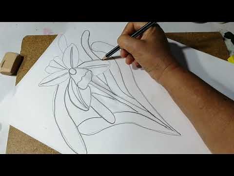 Cómo dibujar orquídeas sencillas fácilmente Sonia R.A.