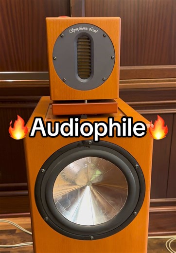 Symphonic Line Audiophile HiEnd Stereo ❤️ Home HiFi Audio Speaker Setup 🔥 #hifi #highend #music #sound #system