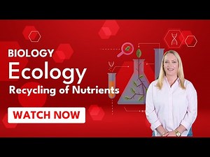 Ecology | Recycling of nutrients (Episode 3)