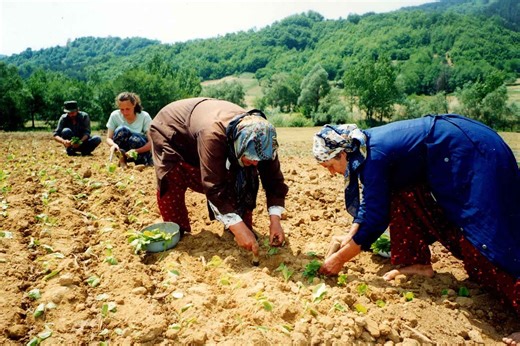 EU Currents: Protecting Bulgaria’s Farmers — Modern Treatise