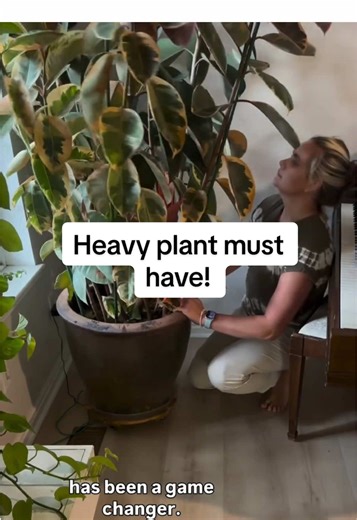 These plant caddy’s are an absolute must if you have big heavy plants! They are also just so nice for moving plants around. 🪴 Comment or message for the link! House plants. Huge house plants. Jungle house. House plant must haves. Heavy house plants. Heavy plant must haves. Idzo plant caddy. wood plant caddy. 16 inch plant dolly. heavy duty plant stand. acacia wood plant caddy. rolling plant stand. plant dolly with wheels. 360 lockable wheels. plant pot mover. plant stand with wheels. heavy obje