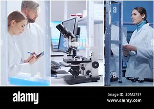 Technology and medical concept. Scientists, lab equipment and microscopes in biomedical innovations and clinical studies. Ideal for educational content. Collage made of vertical videos Stock Video Footage - Alamy