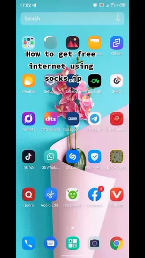socks ip VPN for internet #freeinternet #agulhas #vpn