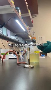 2.2K views · 6K reactions |  #microbiology #microbiologist #lab #laboratory #mikrobiyoloji #microbiologia #cell #culture #fyp #viral #explore #kesfet #bacteria #virus #fungi #parasite #virüs #mantar #parazit #life #knowledge #know #fact #reel #microbe #science #molecular #bacteriology #virology #phd | Medical Microbiologist | Facebook