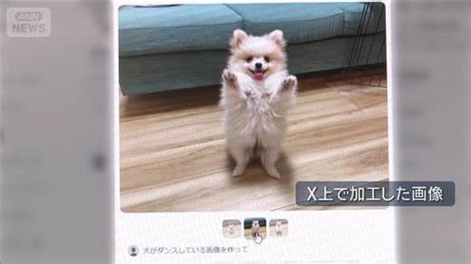 Xに新機能 投稿画像を他人が加工可能に SNSには悪用リスクを懸念するコメント相次ぐ