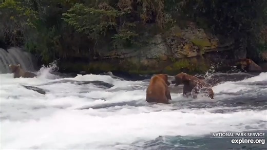 32K views · 1.8K reactions | Popeye is the master of pirating, he...