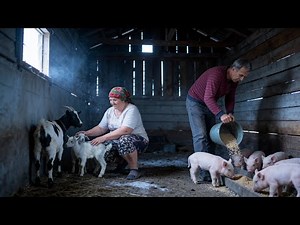A Day on a Ukrainian Family Farm | Feeding Livestock, Milking Cows & Homemade Meals