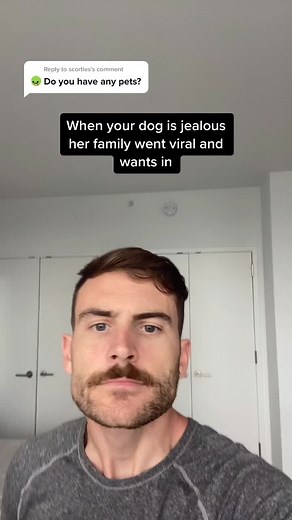 Reply to @scortles Now that I’m apart from my family, should I keep this trend going with random people in NYC? #pets #dogs #nyc #viral #rescuedog