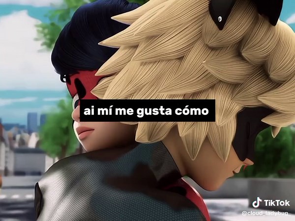 Ladybug and Cat Noir: A Miraculous Love Story