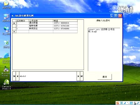 Visual Basic_自我手册_第10章-结构化查询语言SQL_06Insert语句使用