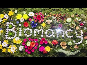 "Biomancy - Our Future" Trailer | With Dr. Azra Bertrand