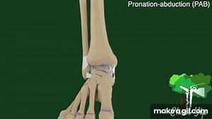 Lauge-Hansen classification for Ankle Fractures (Animated) on Make a GIF