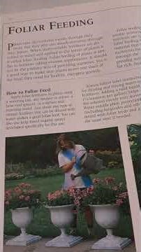 Gardening Essentials Chapter 3