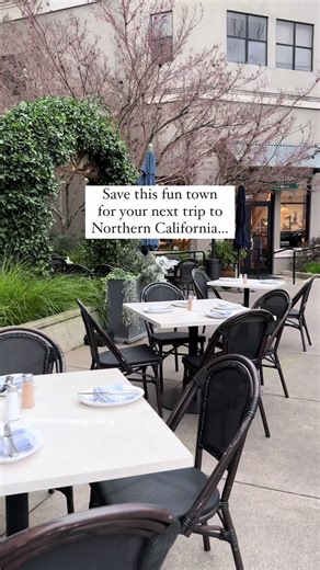 Save this fun town for your next trip to Northern California. It’s a cute place, and there’s everything from shops to restaurants, cafes, hotels, and wine tasting rooms here. You can see more on my blog. Head to the link in my bio, @californiawayfaring, and use the search box to find my blog post about downtown Healdsburg. ☀️ #healdsburg #healdsburgca #california #sonoma #sonomacounty