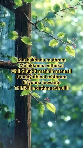 Mazhakondu mathramMulakkunna vithukalChilathundu mannin manasil..