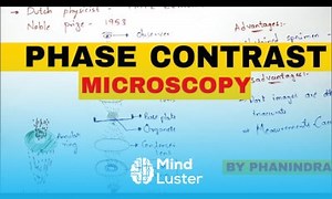 Mind Luster - Learn Phase contrast microscopy Principle Mechanism Advantages and disadvantages