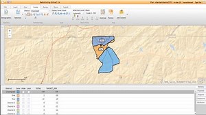 Regional and District Window