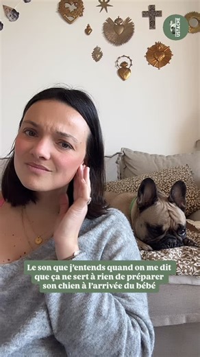 Loélie | Éducatrice & Comportementaliste - Chien & bébé on Instagram: "Devenir parent, ça se prépare. Alors pourquoi laisser son chien vivre ce tsunami émotionnel sans accompagnement ? 👉 Abonne-toi si tu veux savoir ce qui t’attends avec un chien et un bébé. Il est primordial d’anticiper cette arrivée pour : ✨ Préparer émotionnellement ton chien à ce grand changement ✨ Revoir certains apprentissages éducatifs essentiels au quotidien ✨ Désensibiliser aux bruits (pleurs, jouets…) ✨ Comprendre le 
