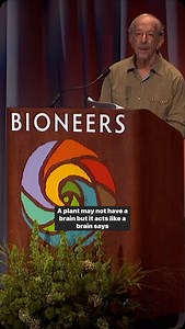 3.4M views · 107 reactions | We’ve long viewed plants as passive...