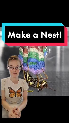 DIY Rainbow Wasp Nest Tutorial