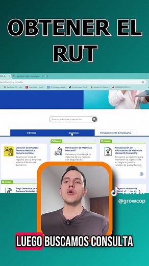 Descarga Tu RUT Sin Contraseña: Guía 2025