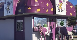 Purple Cow: New boss same as the old boss