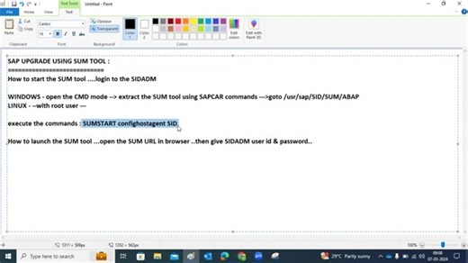 28 SAP升级- SUM工具启动