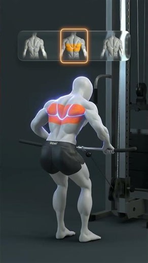 BACK WORKOUT Unleash the BEAST BACK! 🔥 @BEASTLAB