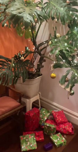 Weihnachten in Australien: Ein Fest voller Freude