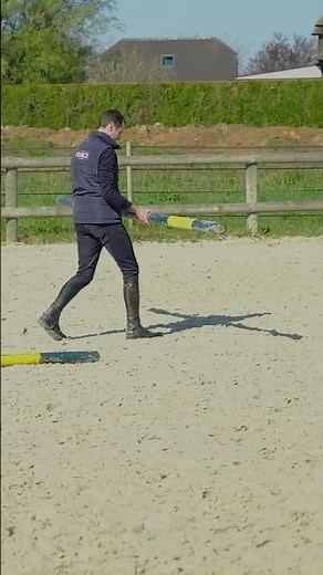 Equitation : Saut d'obstacles #cheval #horse