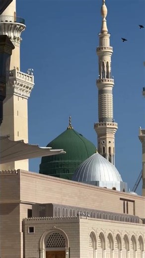 Habibi Ya Muhammad: Maher Zain Official Tribute #shorts #islam