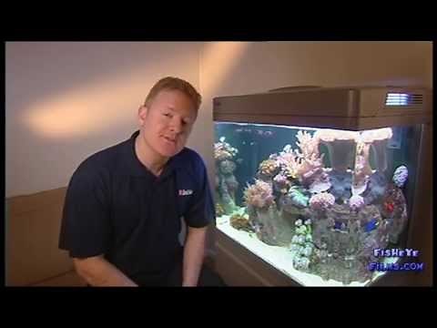 Micro-Bubbles and how to irradicate them in your R