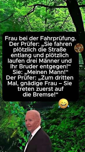 Fahrprüfung mit Emotionen 🚗🤣