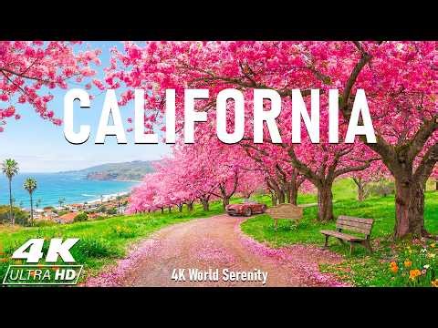 California 4K | Spring in California Golden Poppy Hills, Coastal Cliffs & Yosemite Valley Views 🌼