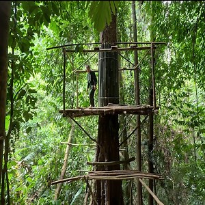 2.7K views · 138 reactions | Full Video 1 Month Solo Bushcraft. Build a 3 meter high house on a tree. Survive in the wild | Primitive wilds Life | Facebook