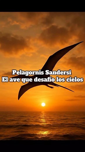 El Pelagornis sandersi fue una de las aves voladoras más grandes que existieron, con una envergadura que pudo superar los 7 metros. Vivió hace unos 25 millones de años y dominaba los cielos sobre los océanos prehistóricos. Recreación educativa generada con IA. #prehistoria #avesgigantes #Pelagornis #educativo | Editio
