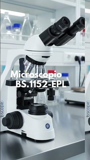 Microscopios Euromex: calidad óptica, NeoLED y ergonomía para tu laboratorio | Guía completa 2025