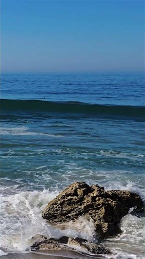 Ocean Waves & Dolphins | 4K #soundtherapy #beach #naturesounds