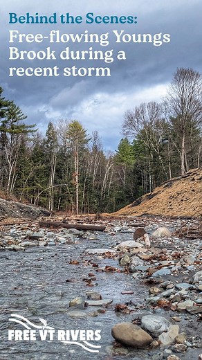 West Rutland’s Youngs Brook is now flowing free after we completed...