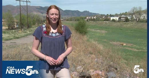 'Don't Ruin It': The Concern Over a Major Flood Prevention Project