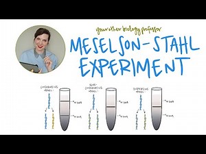 Semiconservative DNA Replication: Meselson-Stahl Experiment Explained!