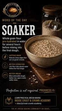 Soaker Explained | Why Whole Wheat Bread Gets Dense #breadbaking #sourdough
