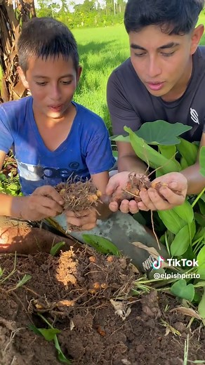 Cómo hacer Juane: Tutorial divertido y fácil