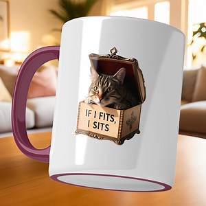 Funny Cat Meme Coffee Mug – "if I Fits, I Sits" | Cute Cat in a Box | Purrfect Gift for Cat Lovers & Coffee Drinkers | Fun Whimsical Mug - Etsy Canada