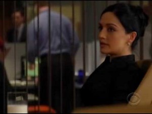 The Good Wife "The Lines" (5)