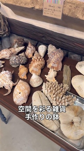 境港市にオープン！植物への愛と手仕事のぬくもりに包まれた「ことりこえんげいてん」🌿✨