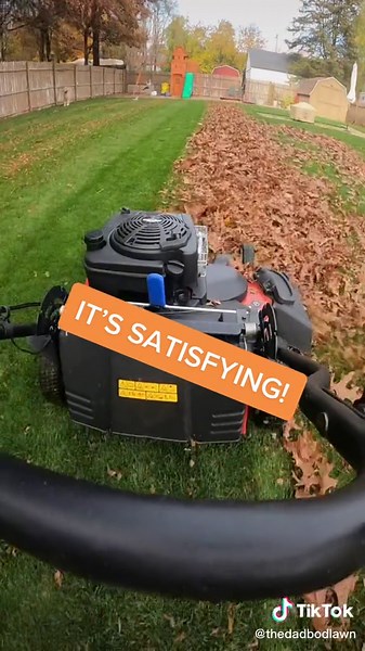 Fall Lawn Care Tips: Mulching Leaves for Nutrient-Rich Soil