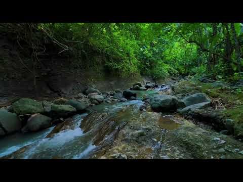 Soothing Nature River Ambience for Sleep & Inner Peace | Stress Relief Water Sounds All Night Long