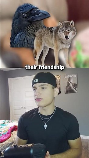 Animals That Are Secretly Best Friends 🤔